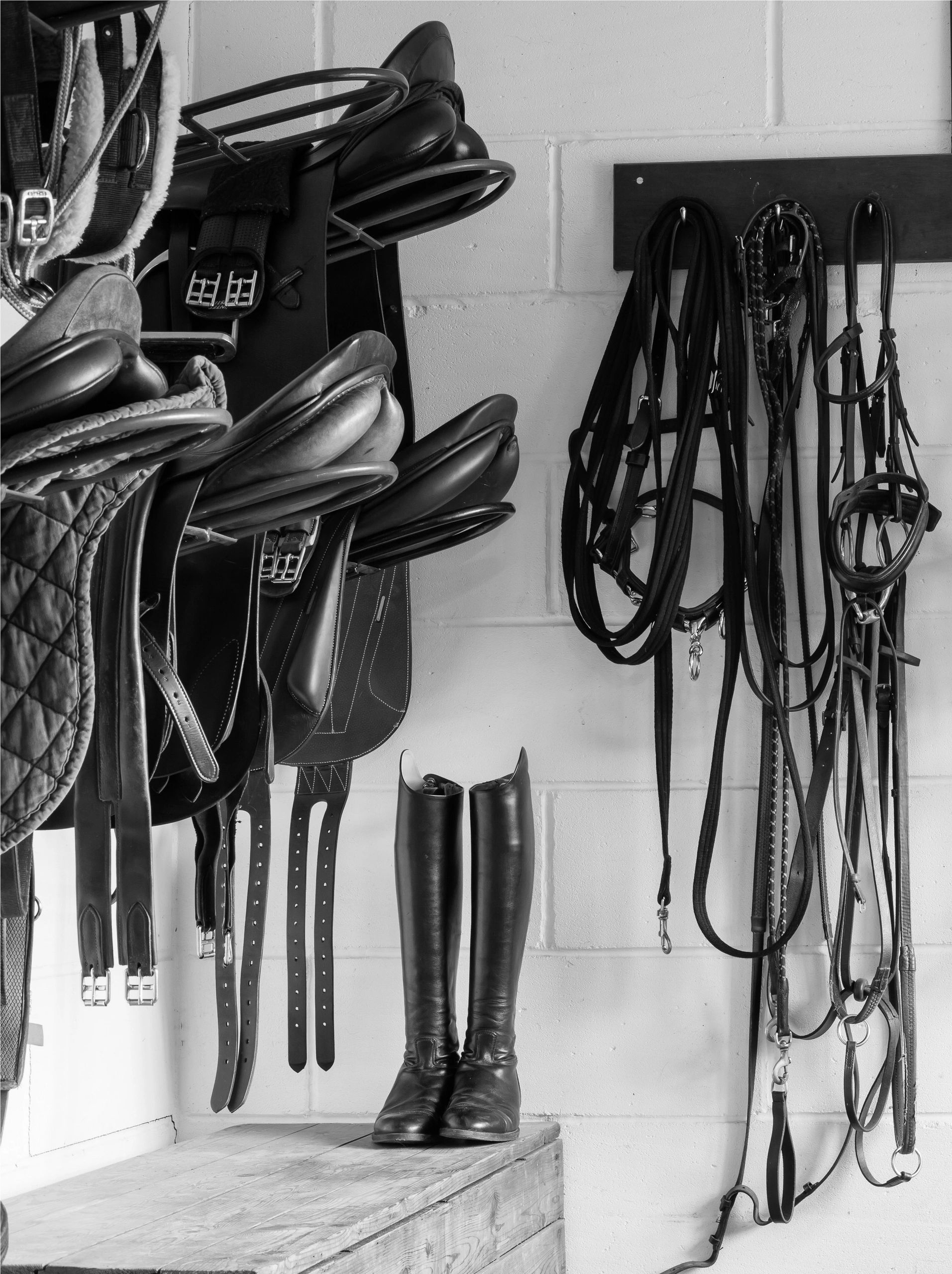 Pisano Riding Boot Repair